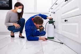 Best Fumigation Services  in Rushvle, IL